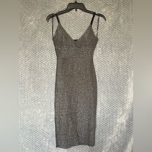 Silver Sparkly Dress